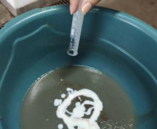 Em quatro meses, rios do Paraná são repovoados com 500 mil peixes nativos. Foto: SEDEST