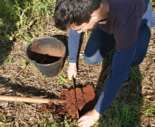 Rotação de Culturas em Sistema Plantio Direto –  Foto: Professora Lutécia Beatriz dos Santos Canalli.

