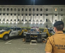 Segurança apreende arma e munições durante fiscalização de medidas sanitárias na Capital. Foto:SESP