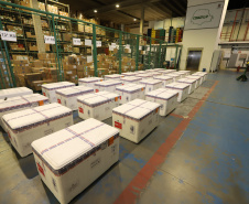 Paraná separa 137 mil doses da nova remessa para começar a vacinar população em geral. Foto: Geraldo Bubniak/AEN
