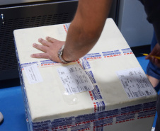 Mais uma leva de vacina Cominarty, produzida pela Pfizer/BioNTech, chegou ao Paraná nesta quinta-feira (3). O lote de 37.440 doses foi recebido às 13h20 no Aeroporto Internacional Afonso Pena, em São José dos Pinhais, na Região Metropolitana de Curitiba, e seguiu para conferência no Centro de Medicamentos do Paraná (Cemepar), onde chegou às 13h50.  -  Curitiba, 03/06/2021  -  Foto: Américo Antonio/SESA