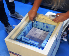 Mais uma leva de vacina Cominarty, produzida pela Pfizer/BioNTech, chegou ao Paraná nesta quinta-feira (3). O lote de 37.440 doses foi recebido às 13h20 no Aeroporto Internacional Afonso Pena, em São José dos Pinhais, na Região Metropolitana de Curitiba, e seguiu para conferência no Centro de Medicamentos do Paraná (Cemepar), onde chegou às 13h50.  -  Curitiba, 03/06/2021  -  Foto: Américo Antonio/SESA