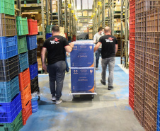 Mais uma leva de vacina Cominarty, produzida pela Pfizer/BioNTech, chegou ao Paraná nesta quinta-feira (3). O lote de 37.440 doses foi recebido às 13h20 no Aeroporto Internacional Afonso Pena, em São José dos Pinhais, na Região Metropolitana de Curitiba, e seguiu para conferência no Centro de Medicamentos do Paraná (Cemepar), onde chegou às 13h50.  -  Curitiba, 03/06/2021  -  Foto: Américo Antonio/SESA