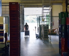 Mais uma leva de vacina Cominarty, produzida pela Pfizer/BioNTech, chegou ao Paraná nesta quinta-feira (3). O lote de 37.440 doses foi recebido às 13h20 no Aeroporto Internacional Afonso Pena, em São José dos Pinhais, na Região Metropolitana de Curitiba, e seguiu para conferência no Centro de Medicamentos do Paraná (Cemepar), onde chegou às 13h50.  -  Curitiba, 03/06/2021  -  Foto: Américo Antonio/SESA
