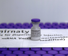 Paraná receberá nesta segunda mais 145.080 vacinas da Pfizer
.Foto: Américo Antonio/SESA