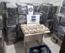 Com fiscalizações mais intensas, promovidas pelas polícias Militar e Civil, 20 pontos comerciais foram interditados e 714 pessoas encaminhadas por infringir medidas sanitárias de prevenção ao coronavírus no Paraná no feriado de Corpus Christi. O balanço da Secretaria da Segurança Pública registra dados de quinta-feira (03) a domingo (06).  -  Curitiba, 07/06/2021  -  Foto: SESP/PR