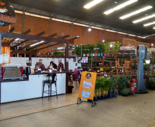 Com a publicação do Decreto Municipal, 960/2021, no combate a Covid-19, agora com a bandeira laranja, mas ainda em estado de alerta, o Mercado de Flores da Ceasa Curitiba volta a atender normalmente a partir desta quinta-feira (9/06), funcionando das 6 as 14 horas.  -  Curitiba, 09/06/2021  -  Foto: CEASA-PR