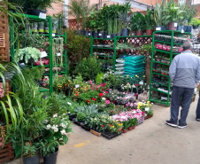 Com a publicação do Decreto Municipal, 960/2021, no combate a Covid-19, agora com a bandeira laranja, mas ainda em estado de alerta, o Mercado de Flores da Ceasa Curitiba volta a atender normalmente a partir desta quinta-feira (9/06), funcionando das 6 as 14 horas.  -  Curitiba, 09/06/2021  -  Foto: CEASA-PR