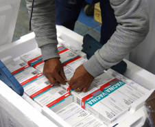 O Paraná recebeu na noite desta quarta-feira (9) mais 238 mil vacinas contra a Covid-19, sendo 237 mil doses do imunizante AstraZeneca produzida no Brasil pela Fiocruz e mil doses da AstraZeneca/Covax/Oxford, importadas por meio do consórcio Covax Facility. As vacinas fazem parte da 24ª pauta de distribuição do Ministério da Saúde.  -  curitiba, 09/06/2021  -  Foto: Américo Antonio/SESA