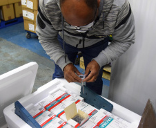 O Paraná recebeu na noite desta quarta-feira (9) mais 238 mil vacinas contra a Covid-19, sendo 237 mil doses do imunizante AstraZeneca produzida no Brasil pela Fiocruz e mil doses da AstraZeneca/Covax/Oxford, importadas por meio do consórcio Covax Facility. As vacinas fazem parte da 24ª pauta de distribuição do Ministério da Saúde.  -  curitiba, 09/06/2021  -  Foto: Américo Antonio/SESA