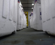 O Paraná recebeu na noite desta quarta-feira (9) mais 238 mil vacinas contra a Covid-19, sendo 237 mil doses do imunizante AstraZeneca produzida no Brasil pela Fiocruz e mil doses da AstraZeneca/Covax/Oxford, importadas por meio do consórcio Covax Facility. As vacinas fazem parte da 24ª pauta de distribuição do Ministério da Saúde.  -  curitiba, 09/06/2021  -  Foto: Américo Antonio/SESA