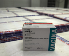 O Paraná recebeu na noite desta quarta-feira (9) mais 238 mil vacinas contra a Covid-19, sendo 237 mil doses do imunizante AstraZeneca produzida no Brasil pela Fiocruz e mil doses da AstraZeneca/Covax/Oxford, importadas por meio do consórcio Covax Facility. As vacinas fazem parte da 24ª pauta de distribuição do Ministério da Saúde.  -  curitiba, 09/06/2021  -  Foto: Américo Antonio/SESA