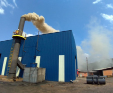 Empresas que aderem ao Selo Clima Paraná agregam valor de mercado nos seus produtos
. Foto: Denis Ferreira netto/SEDEST
