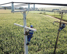 Paraná Trifásico    -  Foto: Divulgação Copel