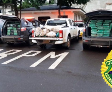 Um trabalho de inteligência do 5º Comando Regional da PM (5º CRPM) na região Oeste do Estado resultou na apreensão de 1,1 tonelada de maconha e no encaminhamento de seis pessoas nesta quinta-feira (10) na cidade de Santa Helena.  -  Curitiba, 11/06/2021  -  Foto: PMPR