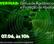 Webinar sobre deriva de agrotóxicos e proteção de abelhas acontece na segunda  -  Foto: Divulgação Adapr
