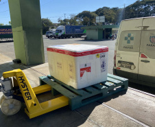 Mais de 255,7 mil vacinas contra a Covid-19 são distribuídas nesta segunda-feira. Foto: Américo Antonio/SESA