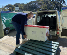 Mais de 255,7 mil vacinas contra a Covid-19 são distribuídas nesta segunda-feira. Foto: Américo Antonio/SESA