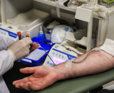 Com estoque 40% abaixo do ideal, Hemepar faz apelo à população para doar sangue. Foto: José Fernando Oura/AEN