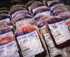 Com estoque 40% abaixo do ideal, Hemepar faz apelo à população para doar sangue. Foto: José Fernando Oura/AEN