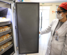 Com estoque 40% abaixo do ideal, Hemepar faz apelo à população para doar sangue. Foto: José Fernando Oura/AEN