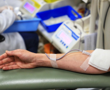 Com estoque 40% abaixo do ideal, Hemepar faz apelo à população para doar sangue. Foto: José Fernando Oura/AEN