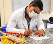 Com estoque 40% abaixo do ideal, Hemepar faz apelo à população para doar sangue. Foto: José Fernando Oura/AEN
