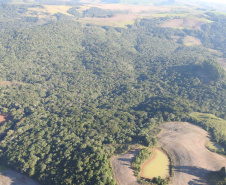 Est. Ecol. Cachoeirinha-BVSR.  -  Foto: SEDEST
