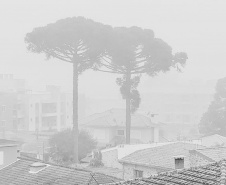 O inverno começa às 0h32 desta segunda-feira - 21 de junho - e termina à 16h21 do dia 22 de setembro. Segundo o Sistema de Tecnologia e Monitoramento Ambiental do Paraná (Simepar), no primeiro dia o tempo fica parcialmente nublado nas regiões Norte e Noroeste.  -  Curitiba, 18/06/2021  -  Foto: Denis Ferreira Netto