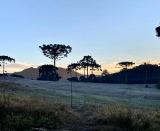 O inverno começa às 0h32 desta segunda-feira - 21 de junho - e termina à 16h21 do dia 22 de setembro. Segundo o Sistema de Tecnologia e Monitoramento Ambiental do Paraná (Simepar), no primeiro dia o tempo fica parcialmente nublado nas regiões Norte e Noroeste.  -  Curitiba, 18/06/2021.  -  Curitiba, 25/05/2021  -  Foto: Ana Tigrinho/AEN