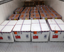 Chegou no Paraná na manhã desta sexta-feira (18) um novo lote com 234.510 vacinas contra a Covid-19. São 143.910 doses do imunizante Comirnaty, produzido pela Pfizer/BioNtech, e 90.600 doses da Coronavac/Butantan. De acordo com a Secretaria de Estado da Saúde (Sesa), as vacinas serão destinadas aos grupos prioritários e população em geral acima de 40 anos. A remessa faz parte da 25ª pauta de distribuição do governo federal. Foto: Ari Dais/AEN
