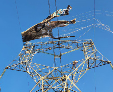 Balões e pipas são risco para a rede elétrica. No início de junho, uma linha de transmissão operada pela Copel em Bragança Paulista, no interior de São Paulo, foi desligada para retirada de um balão que colocava a rede em risco. O prejuízo pode chegar a R$ 3,9 milhões, valor equivalente à indisponibilidade da linha para o sistema. - Foto: Divulgação Copel
