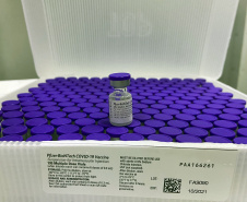 O Governo do Estado recebeu 439.340 vacinas contra a Covid-19 na tarde desta quinta-feira. Este é o primeiro lote com vacinas do braço farmacêutico da Johnson & Johnson. Foto: Américo Antonio/Sesa