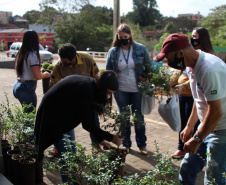 Mais de 800 kg de arroz e feijão foram arrecadados nesta quinta-feira (24), em troca de mudas de jabuticaba no sistema drive-thru no município de Pitanga, na região Central do Estado. A ação foi planejada pelo Escritório Regional do Instituto Água e Terra (IAT) e contou com apoio da prefeitura municipal.  -  Foto: IAT