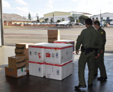 O Governo do Estado realizou mais uma força-tarefa para acelerar o envio de vacinas contra a Covid-19 e medicamentos do kit de intubação para todas as 22 Regionais de Saúde na tarde desta sexta-feira (25). Ao todo foram encaminhadas, por via aérea e terrestre, 307.180 vacinas e 116.083 medicamentos.  -  Curitiba, 25/06/2021  -  Foto: Américo Antonio/SESA