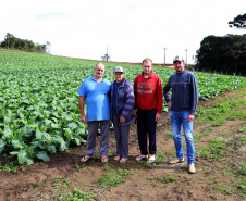 Hortaliças como brócolis e couve-flor mudam a paisagem de São José dos Pinhais - Pedro Burakowski e família -  Curitiba, 24/06/2021  -  Foto: Ari Dias/AEN