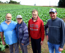 Hortaliças como brócolis e couve-flor mudam a paisagem de São José dos Pinhais - Pedro Burakowski e família -  Curitiba, 24/06/2021  -  Foto: Ari Dias/AEN