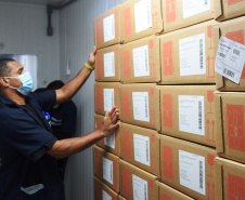 O medicamento já foi entregue para a Farmácia da 2ª Regional de Saúde, em Curitiba Para as demais regiões do Estado.
Foto:  Américo Antonio/SESA