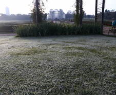 Imagens do inverno - Foto: Geraldo Bubniak