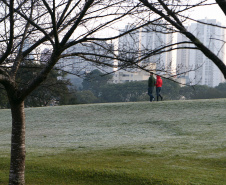 Imagens do inverno - Foto: Geraldo Bubniak