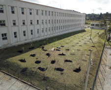 Projeto vai promover visitas guiadas a unidades de conservação do Paraná. O acordo de cooperação para execução do projeto foi assinado nesta quinta-feira (1) pelo governador Carlos Massa Ratinho Junior, o presidente do Tribunal de Justiça, desembargador José Laurindo de Souza Netto, e o prefeito de Curitiba, Rafael Greca.  -  Curitiba, 01/07/2021  -  Foto: José Fernando Ogura/AEN