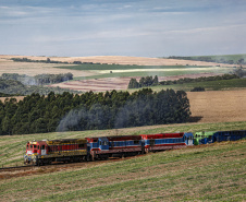 O balanço operacional da Ferroeste (Estrada de Ferro Paraná S/A) dos primeiros cinco meses do ano indica que a empresa deve manter o bom desempenho registrado em 2019 e 2020, com os primeiros resultados positivos de sua história.  Curitiba, 02/07/2021  -   FOTO: Jonathan Campos / AEN