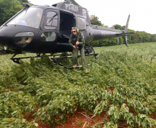 A Polícia Civil do Paraná (PCPR) comemora neste domingo (4) cinco anos de criação do seu Grupamento de Operações Aéreas (GOA). Atualmente são cinco aeronaves, sendo quatro helicópteros e um avião.  -  Foto: Polícia Civil do Paraná