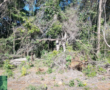 Fiscais do Instituto Água e Terra (IAT) identificaram mais de 100 hectares (ha) de desmatamento na região Centro-Sul do Estado, na última semana. O IAT é um órgão vinculado à Secretaria do Desenvolvimento Sustentável e do Turismo (Sedest). -  Curitiba, 05/07/2021  -  Foto: SEDEST/IAT