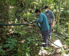 A empresa pública Portos do Paraná, através de seu programa de Educação Ambiental, em parceria com a Prefeitura de Paranaguá, começou a implantação da segunda fase do projeto de readequação dos microssistemas de abastecimento de água nas comunidades ilhadas da baía de Paranaguá, que estão na área de influência do porto.  -  Paranaguá, 08/07/2021  -  Foto: Pier Paolo/Portos do Paraná