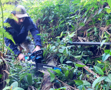A empresa pública Portos do Paraná, através de seu programa de Educação Ambiental, em parceria com a Prefeitura de Paranaguá, começou a implantação da segunda fase do projeto de readequação dos microssistemas de abastecimento de água nas comunidades ilhadas da baía de Paranaguá, que estão na área de influência do porto.  -  Paranaguá, 08/07/2021  -  Foto: Pier Paolo/Portos do Paraná