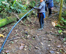 A empresa pública Portos do Paraná, através de seu programa de Educação Ambiental, em parceria com a Prefeitura de Paranaguá, começou a implantação da segunda fase do projeto de readequação dos microssistemas de abastecimento de água nas comunidades ilhadas da baía de Paranaguá, que estão na área de influência do porto.  -  Paranaguá, 08/07/2021  -  Foto: Pier Paolo/Portos do Paraná