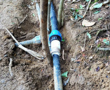 A empresa pública Portos do Paraná, através de seu programa de Educação Ambiental, em parceria com a Prefeitura de Paranaguá, começou a implantação da segunda fase do projeto de readequação dos microssistemas de abastecimento de água nas comunidades ilhadas da baía de Paranaguá, que estão na área de influência do porto.  -  Paranaguá, 08/07/2021  -  Foto: Pier Paolo/Portos do Paraná