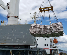 Com 29.081.691 toneladas de cargas movimentadas, os portos do Paraná alcançaram o melhor semestre da história. O volume de produtos importados e exportados entre janeiro e junho de 2021 é 3% maior que o registrado no mesmo período de 2020, quanto foram 28.177.335 toneladas.  - Paranaguá, 08/07/2021  -  Foto: Claudio Neves/Portos do Paraná