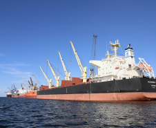 Com 29.081.691 toneladas de cargas movimentadas, os portos do Paraná alcançaram o melhor semestre da história. O volume de produtos importados e exportados entre janeiro e junho de 2021 é 3% maior que o registrado no mesmo período de 2020, quanto foram 28.177.335 toneladas.  - Paranaguá, 08/07/2021  -  Foto: Claudio Neves/Portos do Paraná